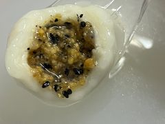 -海丝金凤(金鱼店)