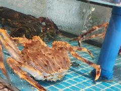 -百富源·海鲜辽菜(张士店)