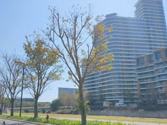 -碧桂园十里银滩