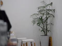 -浆木咖啡馆(湘子庙街店)