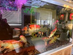 -雕哥的纹身店A3 TATTOO&纹身培训
