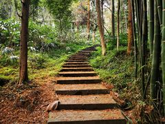 -峨眉山报国寺