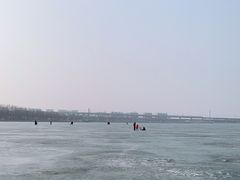 -丁香湖公园