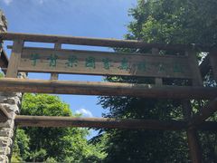 -牛背梁国家森林公园