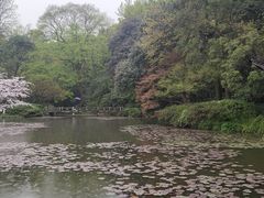 -杭州植物园