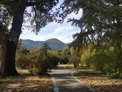 -国家植物园南园