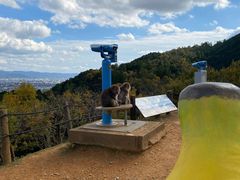 -岚山猴子公园