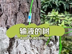 -宁波儿童公园(鄞州区)