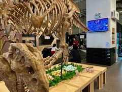 -FAIRYLAND龙族星球主题餐厅(凯丹广场店)