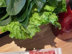 -大熊猫毛肚火锅(烟台万象汇店)