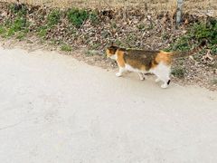 -意大利农场度假村