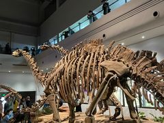 -自贡恐龙博物馆