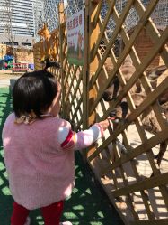 -萌宠亲子动物乐园(槐房万达店)