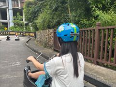 -圣淘沙天际线斜坡滑车