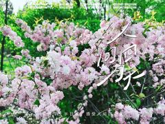 -迎泽公园
