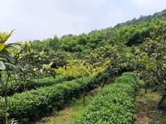 -九龙潭景区