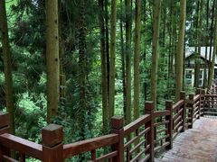 -太阳湾风景区