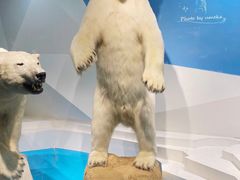 -青岛海底世界-水族馆