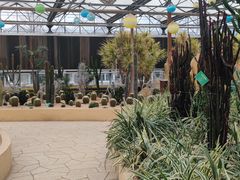 -南宫五洲植物乐园