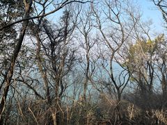 -南京金牛湖风景区