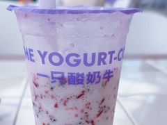 -一只酸奶牛(益州国际店)