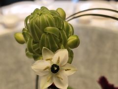 -南堂馆·新川菜(天府三街店)