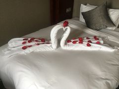 iphone_upload_pic-常州环球恐龙城维景国际大酒店