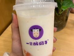 -一只酸奶牛(八一路店)