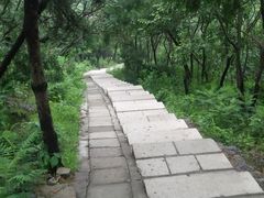 -蟒山国家森林公园-停车场