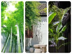 -南京民俗博物馆(甘熙故居)