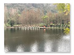-重庆彩云湖湿地公园