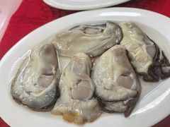-花苑美食横琴生蚝火锅(拱北粤华路店)