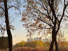-七桥瓮公园