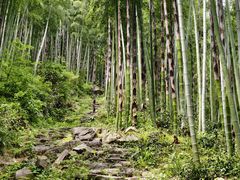 -安吉龙王山风景区