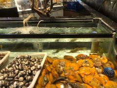 -海吃海喝海鲜烤肉炭火主题自助餐(朝阳店)