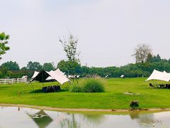 -夏河溪乡野公园