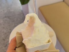 -野人先生现做冰淇淋(北京王府井东方新天地店)