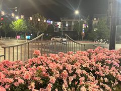 -中国湿地博物馆