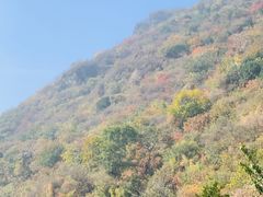 -香山公园