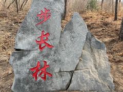-北京十三陵国家森林公园蟒山景区