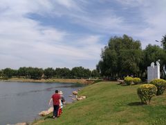 -丁香湖公园