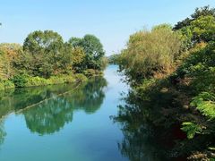 -西湖外事游船(花港观鱼码头)