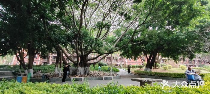 厦门大学(思明校区)图片