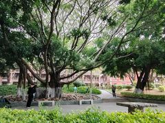 -厦门大学(思明校区)