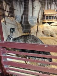 -酷嗒动物文化乐园(cutezoo西溪乐天城店)