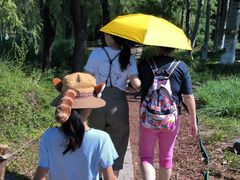 -朝阳公园游乐园