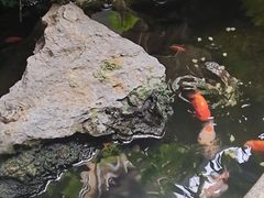 -佛有缘素食馆·荔湾老字号(陈家祠首店)