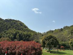 -会稽山峡洞漂流-上青古道
