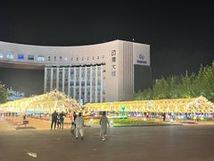 -国家动漫园
