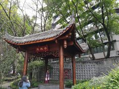 -泡桐树街